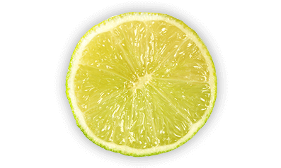 monyk-hero2-citron